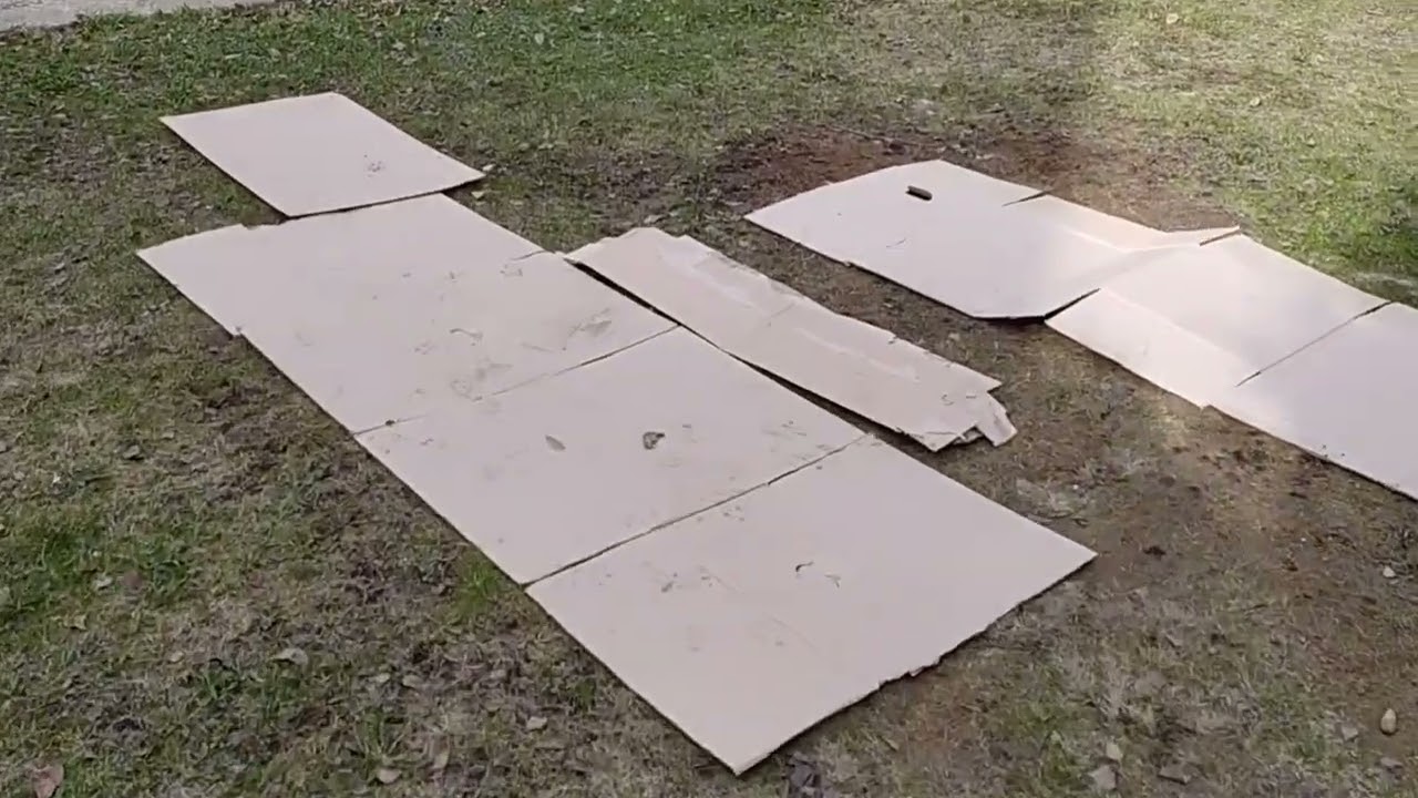 Газон с нуля