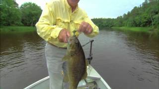 In-Line Spinners For Smallmouth Bass 