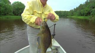 In-Line Spinners For Smallmouth Bass