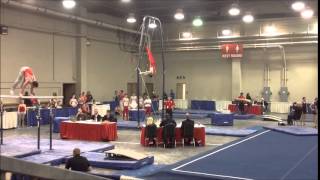 Tanner West Regionals Rings 2015