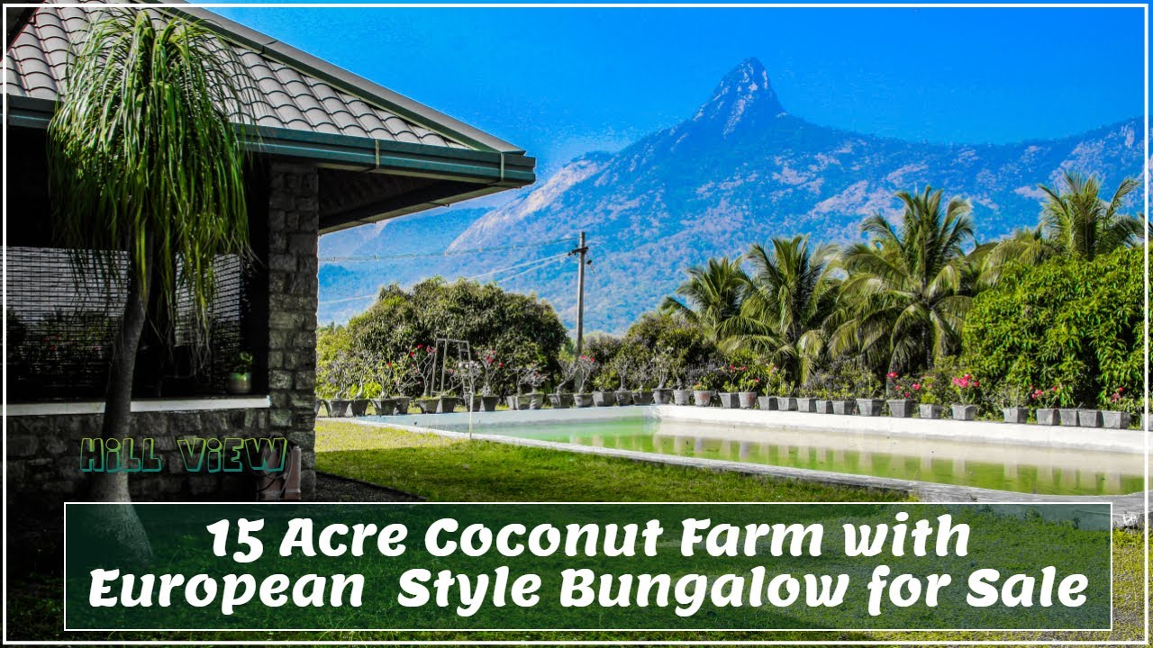 15 Acre Coconut Farm with European style luxury Bungalow  For sale in Beautiful Location #Sold out