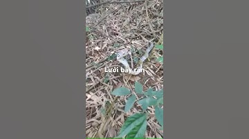 Cung cấp lưới bẫy rắn dù Nhật Bản.LH 0963351559