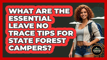 What Are The Essential Leave No Trace Tips For State Forest Campers? - Exploring Campgrounds