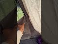 KingCamp Tent: 4-Season Living, BUT WATCH OUT FOR BUGS! #shorts