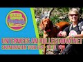 Unterwegs am Rullestadvatnet - Roadtrip 🚗 - Mit Dachzelt  ⛺ durch Skandinavien 🇩🇰🇸🇪🇳🇴 E04