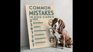 Common Mistakes in Dog Care