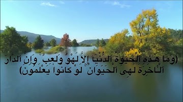 سورة العنكبوت آية ٦٤