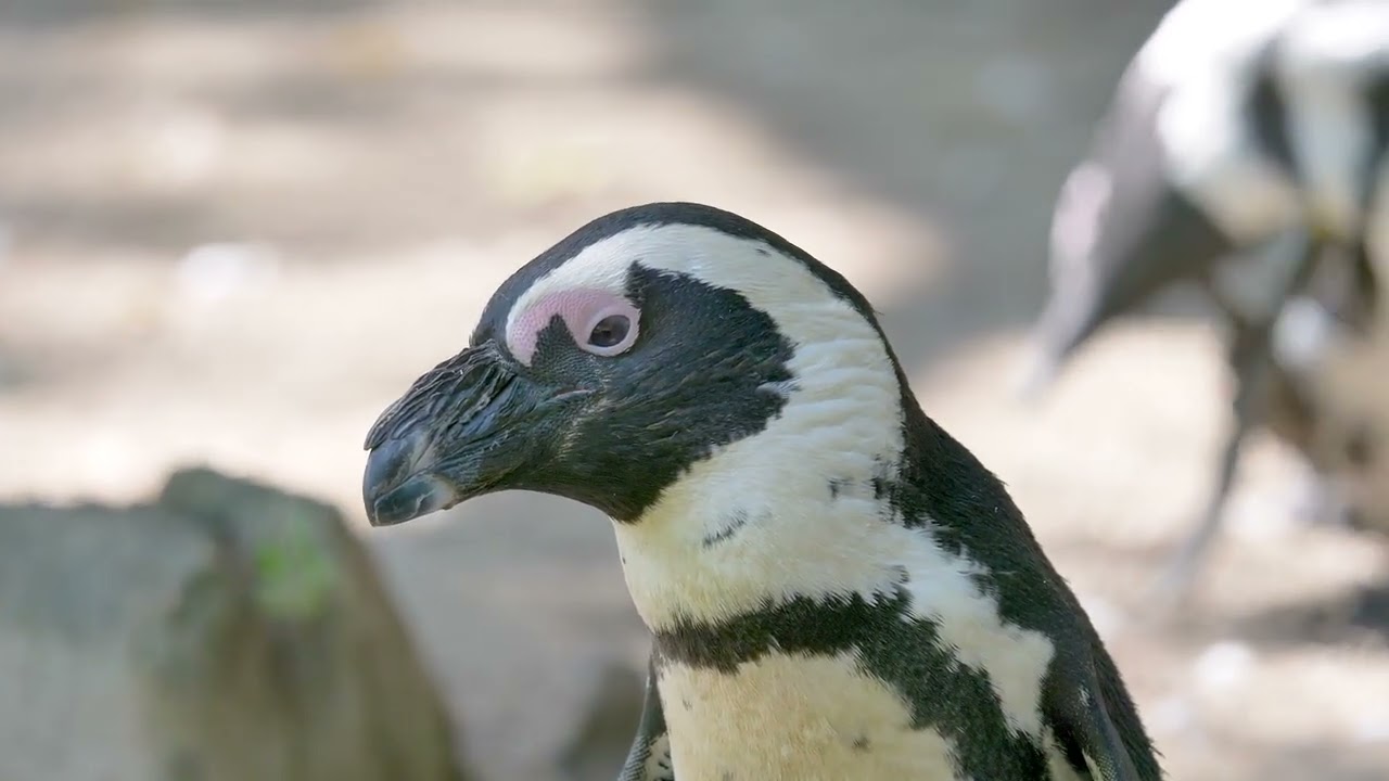 Eat Voraciously: Chili to chase away the chill