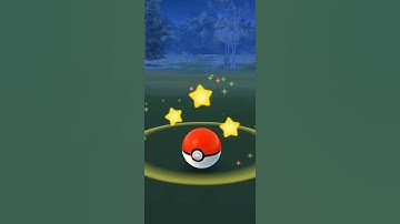 Shiny Mega Steelix - Shiny Evolution