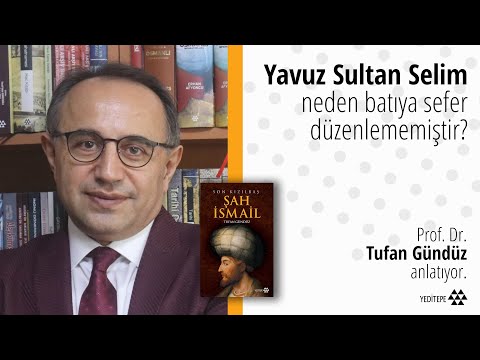 Video: Müzelerde atlılar. Her biri hakkında biraz