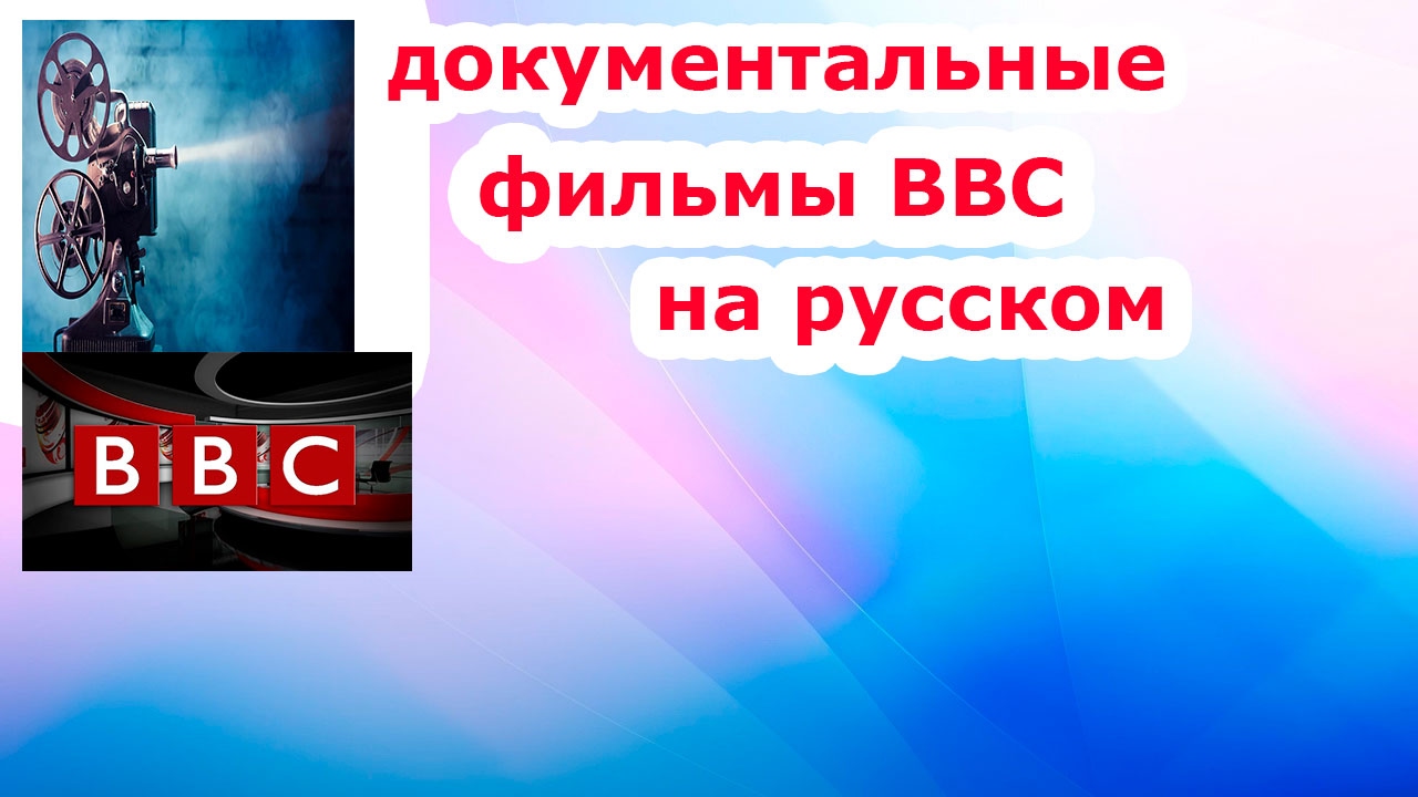 фильм про кошек для кошек
