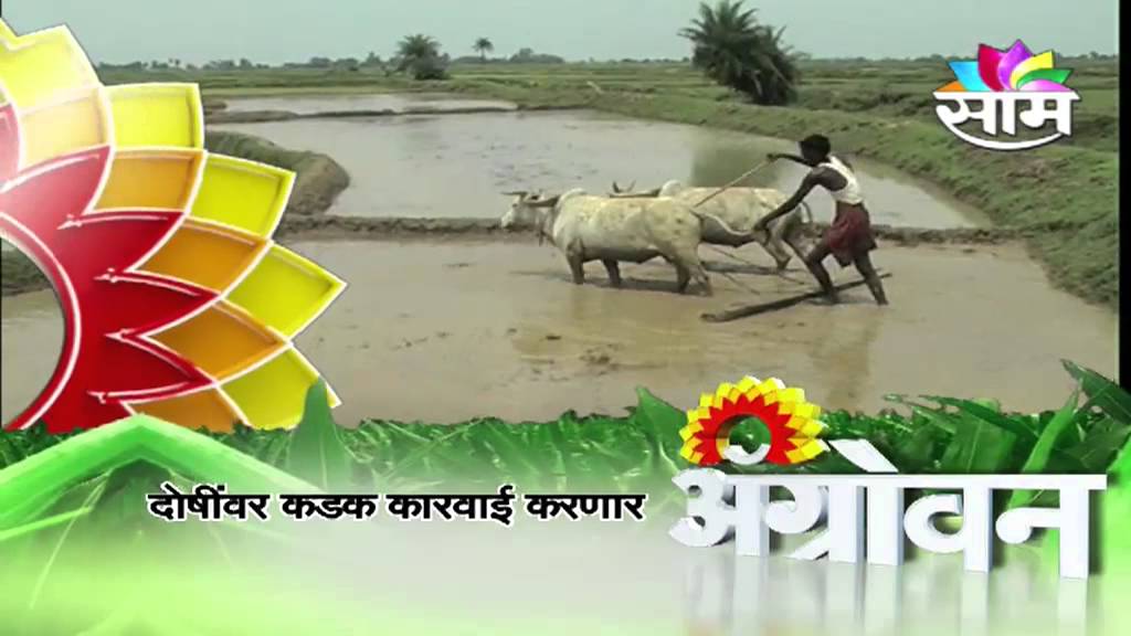 Manmohan promises strict action against 'irregularities' in loan waiver scheme