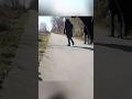 Klingeln oder nicht klingeln? #dashcam #fahrrad #shorts #radfahrer #fahrradfahrer #stvo
