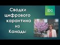 Люди это новая нефть/фьючерсы от ГАФАМ на человеческий капитал/цветные женщины таран демпартии США