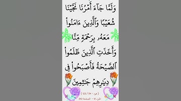 الآية 94 من سورة هود #سورة_هود #ايات_قرانيه_قصيره #القران_الكريم @أجملتلاواتالقرآنالكريم-ض8ظ