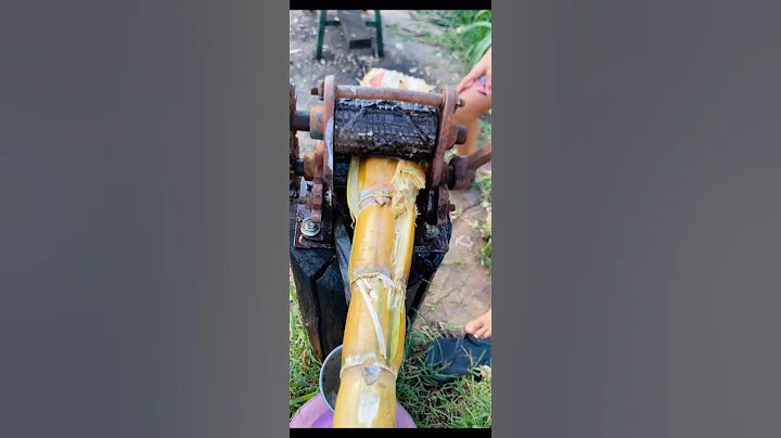 How To Make Sugar cane juice #shorts #shortsfeed #juice #sugarcane #juice #trending #viral #nice