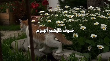 قرآن كريم راحة نفسية بصوت الشيخ محمد صديق المنشاوي 🧡