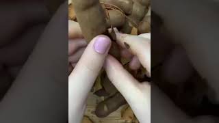 Ayyukan Da Tsamiya Takeyi Ajin Kauran Bauchi Media Tv.