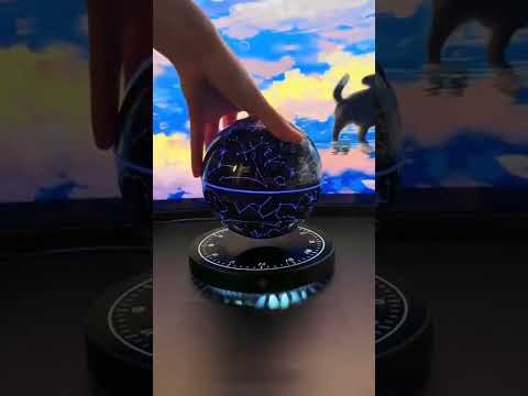 🎶🔮Experience the Magic