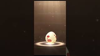 Hatched a HUNDO... BUT was it SALANDIT?! (9x 12 KM, 3x 10 KM eggs) | Pokémon GO screenshot 4