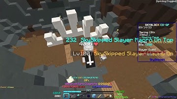 SkySkipped Slayer Macro | Best Skyblock Macros