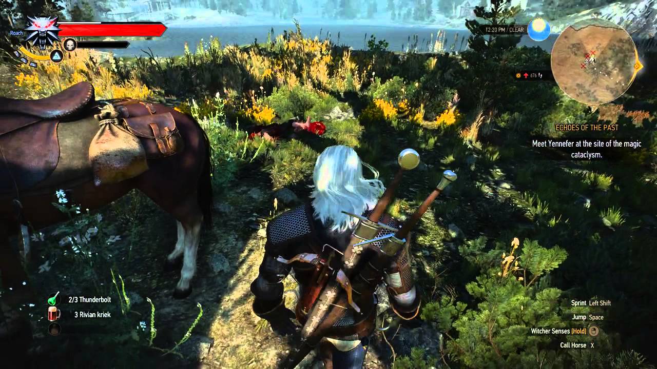 Witcher 3 Garden Of Freya