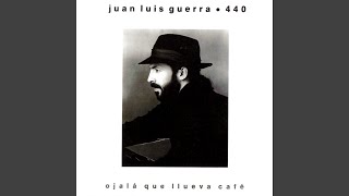 Video thumbnail of "Juan Luis Guerra - Visa Para un Sueño"