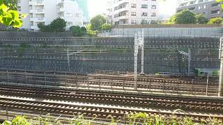 権現山公園、東海道新幹線n700aロゴ大小、JR常磐線グリーン車２階建て、山手線