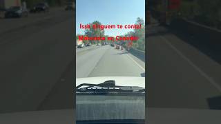 Isso ninguem te conta! #motoristanocanada #driverslicense #brasileironocanada #transporte