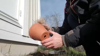 How to build a nest for the bumblebee