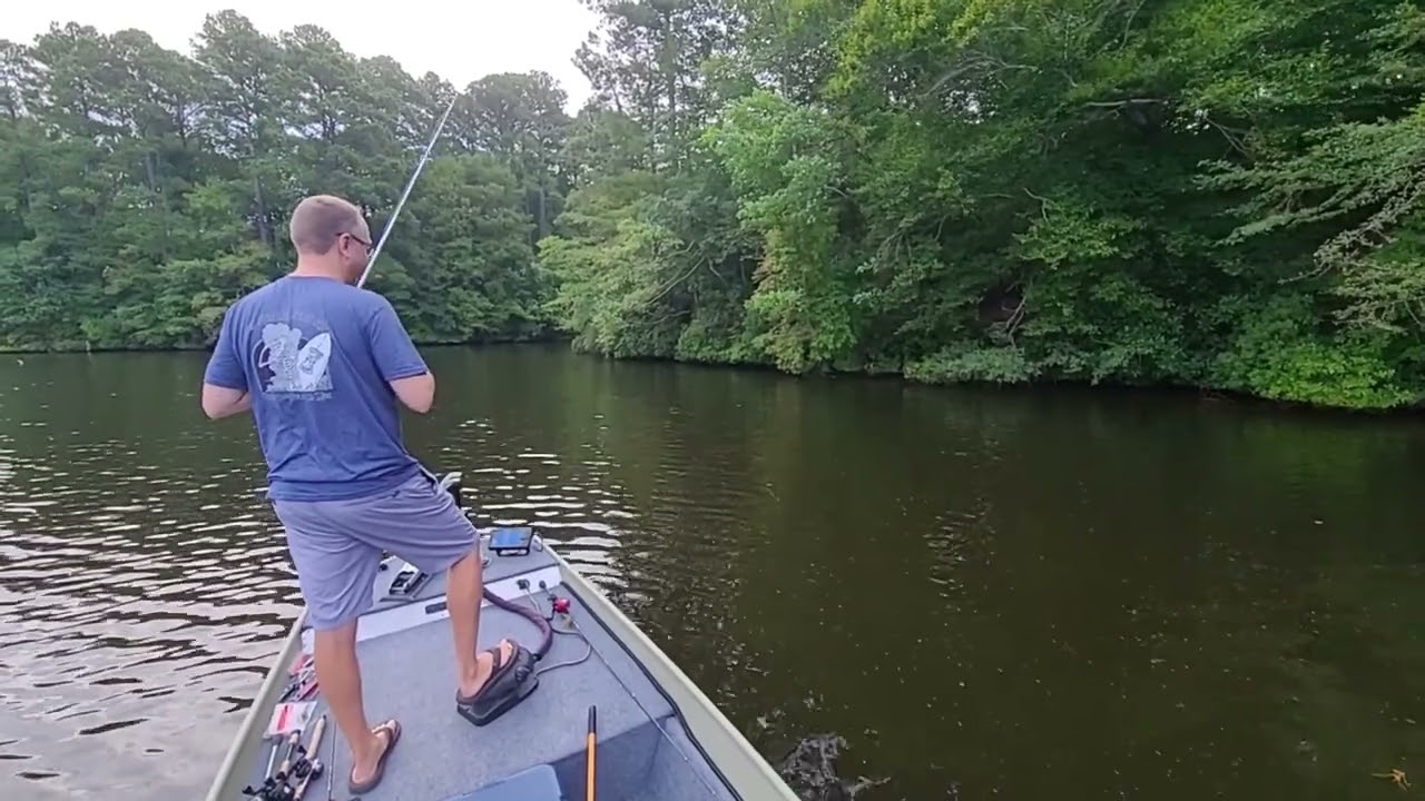 Bass Fishing