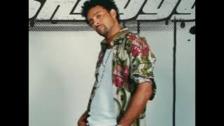 Vaya Con Dios feat. Shaggy - Hey Nah Neh Nah (USA REMIX)