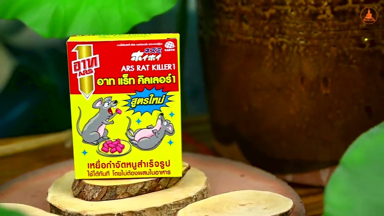 Thuốc diệt chuột Thái Lan Ars Rat Killer 80g