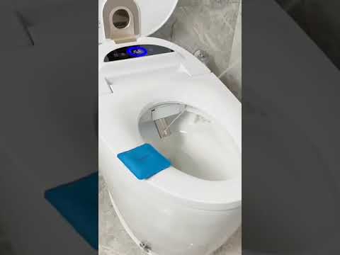 Video: Wat kost een automatisch toilet?