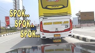 SUDIRO TUNGGA JAYA BUS SPOK SPOK