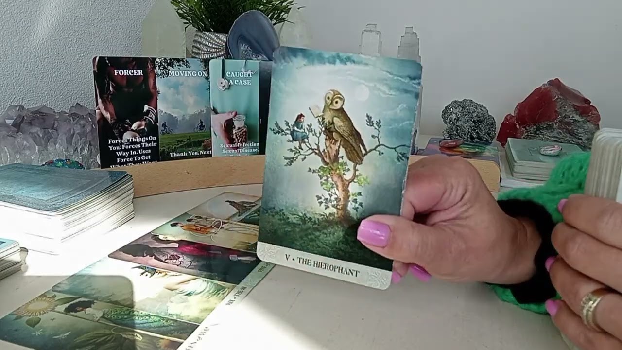 Leeuw 🦁♌️ Liefde ❤️ Thank you, next! Loslaten van iemand die stress veroorzaakt, nieuw begin! 🙏🍀🥰