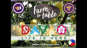 Pi network express pi.com some highlights from farm table || Don