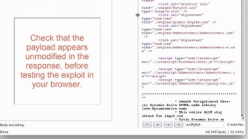 Using Burp to Exploit XSS   Injecting in to Tag Attributes | OWASP Top Ten | Burp suite