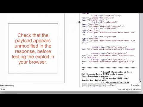 Using Burp to Exploit XSS   Injecting in to Tag Attributes | OWASP Top Ten | Burp suite