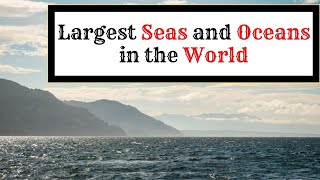 What are the 5 Oceans of the World? | Top 5 Largest Seas and Oceans in the World | TopEcho by TopEcho 21 views 3 years ago 4 minutes, 55 seconds