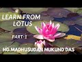 Learn from lotus  part 1 madhusudan mukund dasmba iit kanpur