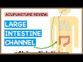 Points Review Large Intestine Channel Acupuncture Meridian 