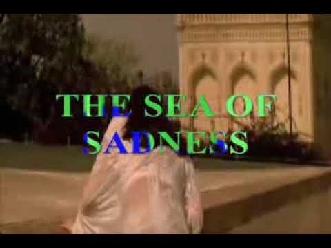 صلاح البحر حبك بحر ماله حدود وسمك بقلبي موجود