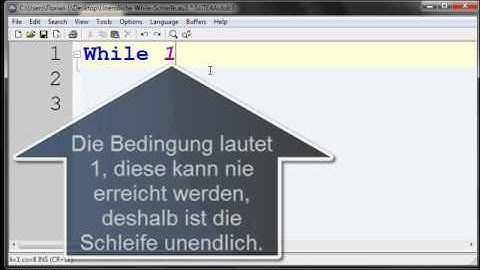 Unendliche While-Schleife