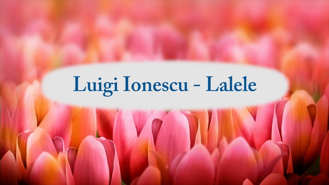 Luigi Ionescu   Lalele versuri lyrics karaoke