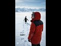 NİHİLİST PENGUEN #penguin #nihilistpenguin #BELGESEL #truestory #STORY #VİRAL #antartica #nihilism