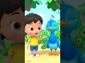 Peacock for Kids 🦚 | Learn Bird Names | Animal Names for Toddlers