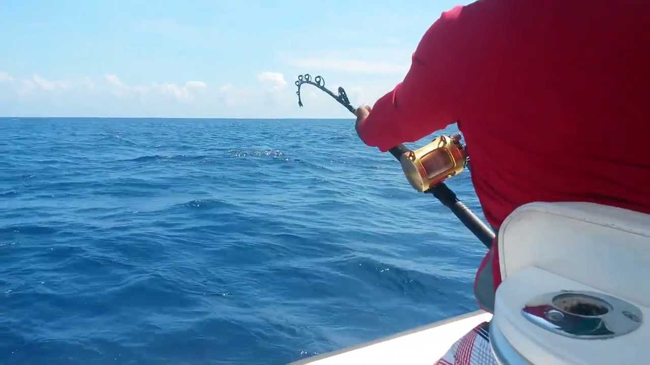 Marlin Fishing, St. Thomas, Jamaica YouTube