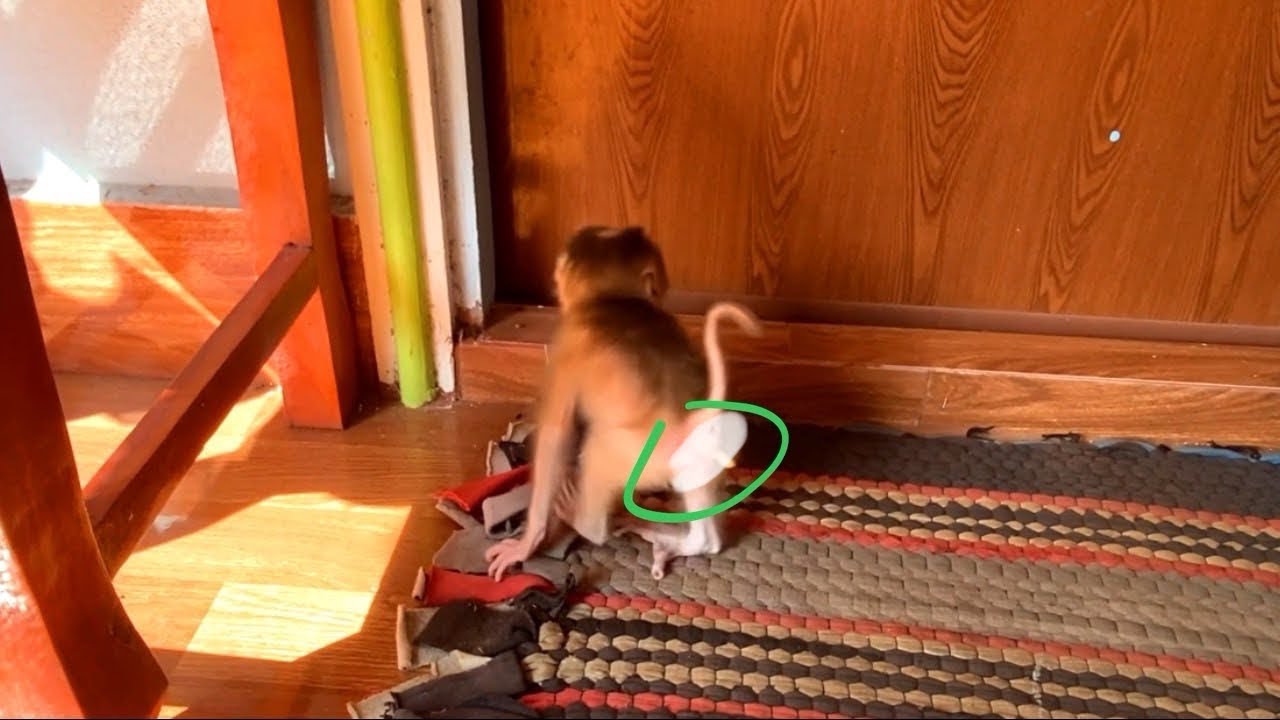 [Oh Go0d] Tini Jasmine Xtremaly Scar…. Lonely Time Till Out Of Poo00p