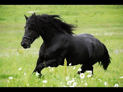 Россия распахнута в скорость коня... - YouTube